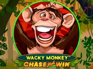 Wacky Monkey - Chase'N'Win screenshot